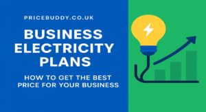 Business electricity plans