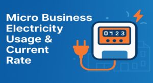 Micro Business Electricity