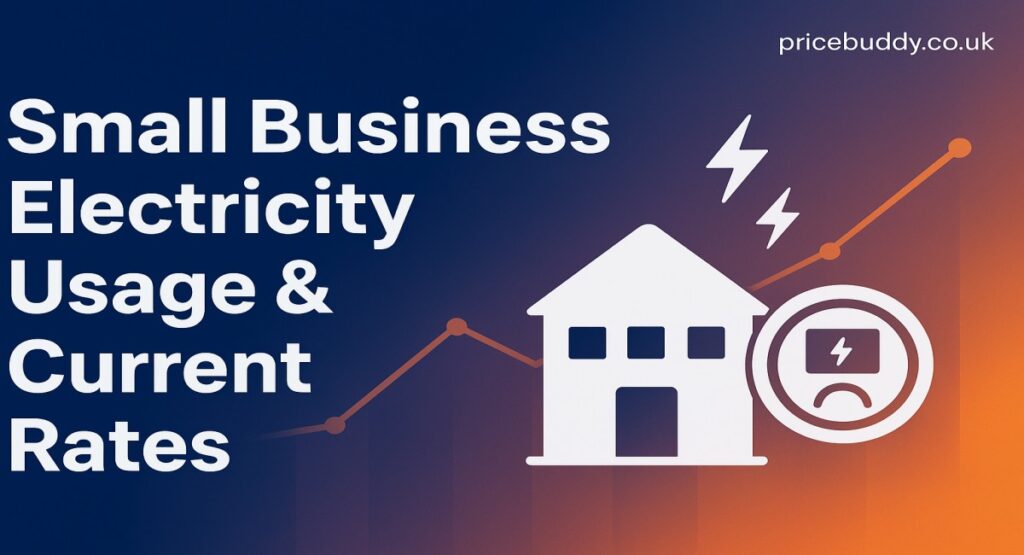 Small Business Electricity